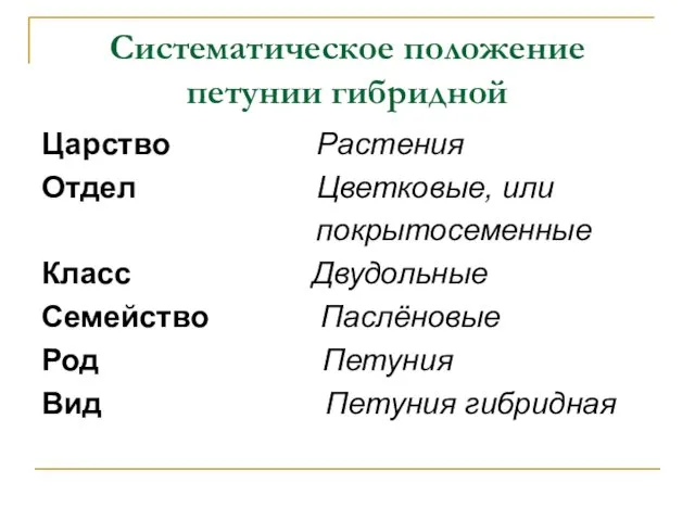 Систематическое положение петунии гибридной Царство Растения Отдел Цветковые, или покрытосеменные