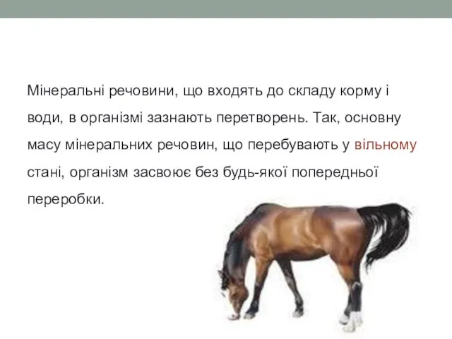 Мінеральні речовини, що входять до складу корму і води, в