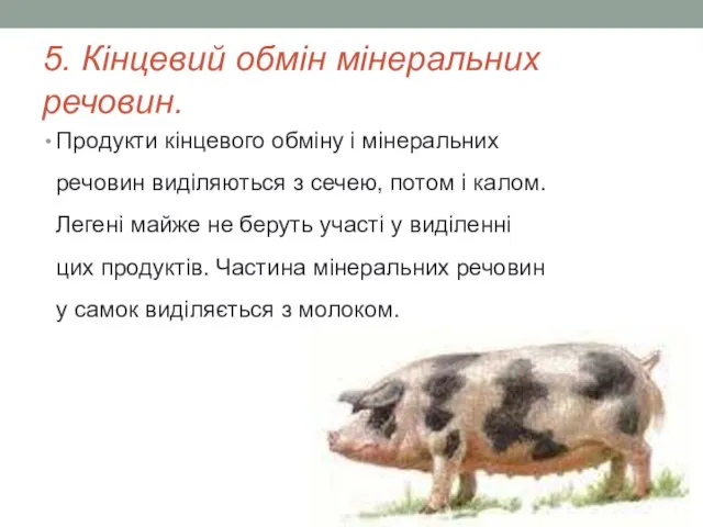 5. Кінцевий обмін мінеральних речовин. Продукти кінцевого обміну і мінеральних