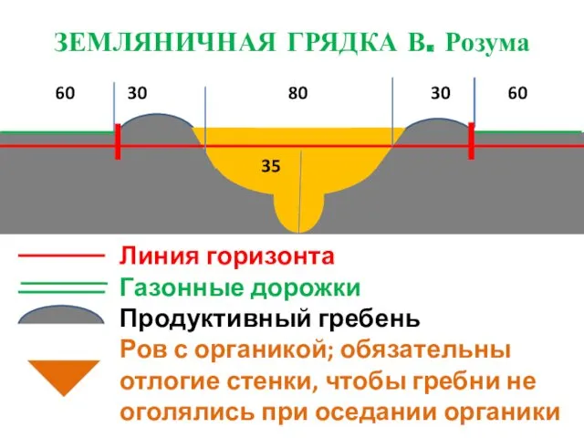 ЗЕМЛЯНИЧНАЯ ГРЯДКА В. Розума 60 30 80 30 60 Линия