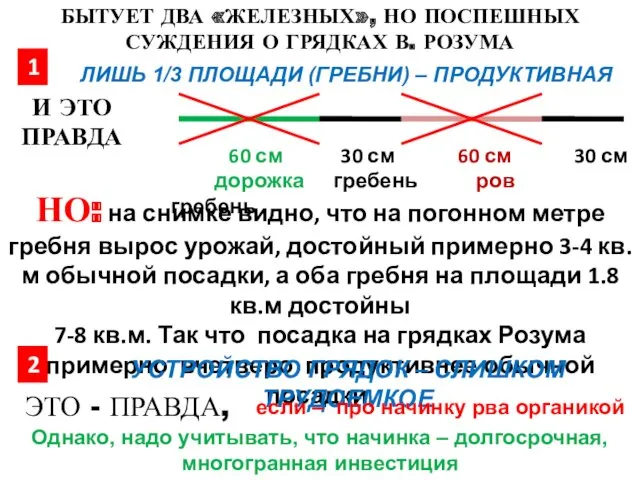 БЫТУЕТ ДВА «ЖЕЛЕЗНЫХ», НО ПОСПЕШНЫХ СУЖДЕНИЯ О ГРЯДКАХ В. РОЗУМА