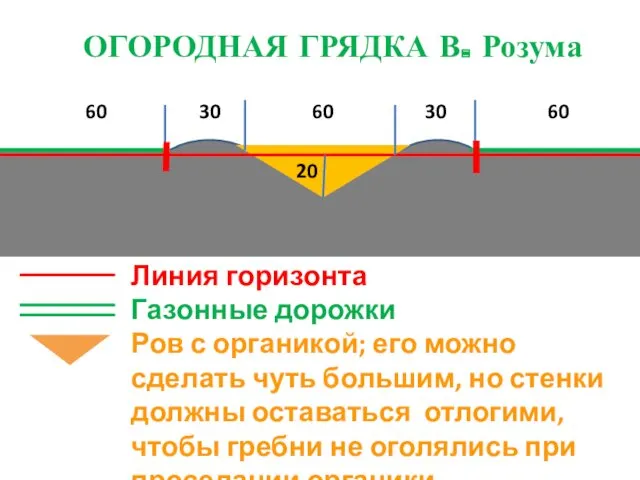 ОГОРОДНАЯ ГРЯДКА В. Розума 60 30 60 30 60 Линия