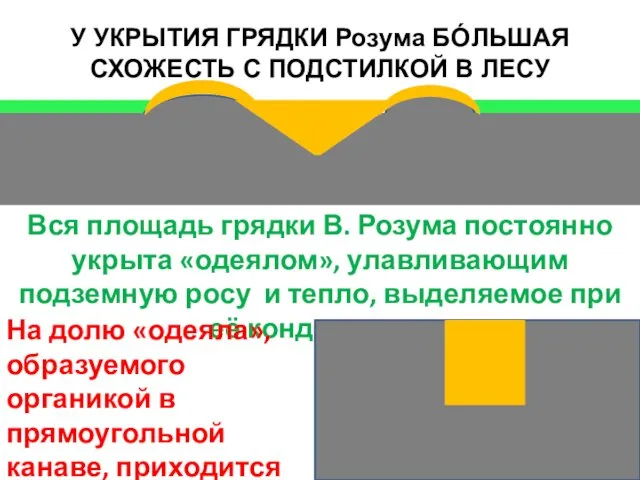 У УКРЫТИЯ ГРЯДКИ Розума БÓЛЬШАЯ СХОЖЕСТЬ С ПОДСТИЛКОЙ В ЛЕСУ