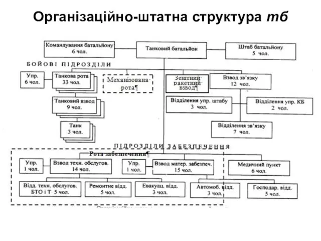 Організаційно-штатна структура тб