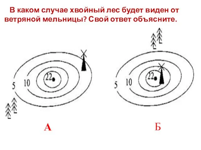 В каком случае хвойный лес будет виден от ветряной мельницы? Свой ответ объясните. А Б