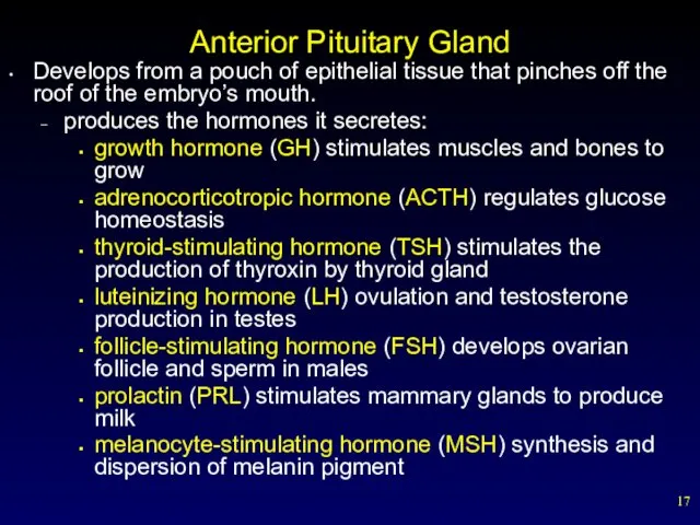 Anterior Pituitary Gland Develops from a pouch of epithelial tissue that pinches off