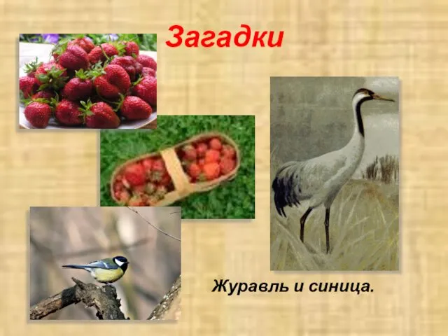 Загадки Журавль и синица.