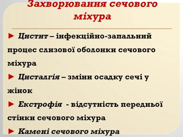 Захворювання сечового міхура ► Цистит – інфекційно-запальний процес слизової оболонки