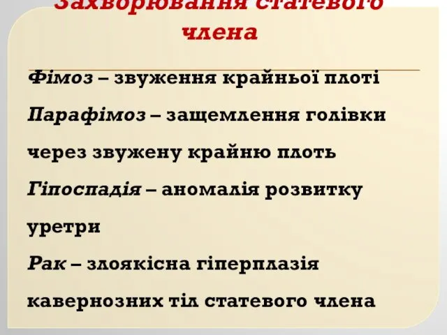 Захворювання статевого члена Фімоз – звуження крайньої плоті Парафімоз –