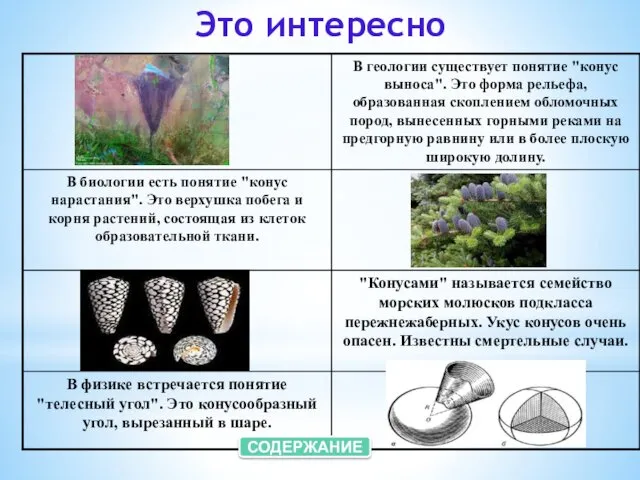 Это интересно СОДЕРЖАНИЕ