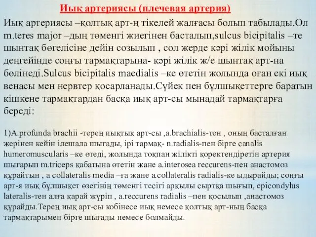 Иық артериясы –қолтық арт-ң тікелей жалғасы болып табылады.Ол m.terеs mаjor