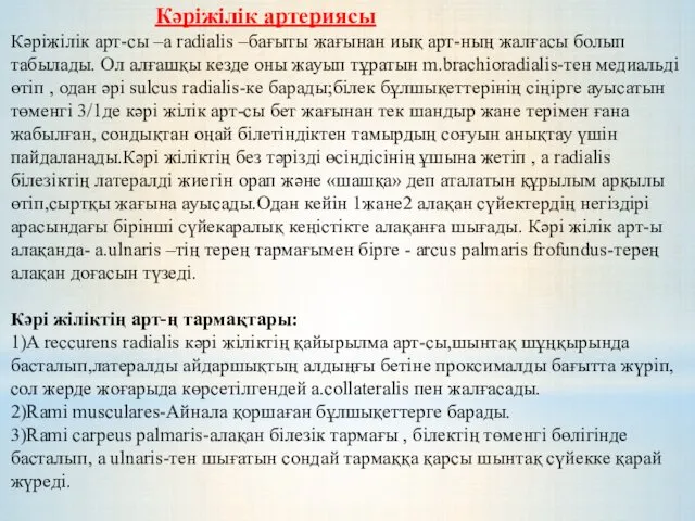 Кәріжілік артериясы Кәріжілік арт-сы –a radialis –бағыты жағынан иық арт-ның жалғасы болып табылады.