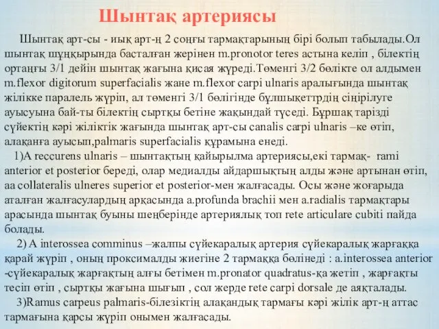 Шынтақ арт-сы - иық арт-ң 2 соңғы тармақтарының бірі болып табылады.Ол шынтақ шұңқырында