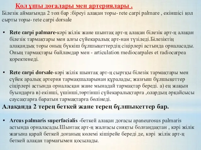 Қол ұшы доғалары мен артериялары . Білезік аймағында 2 топ бар :біреуі алақан