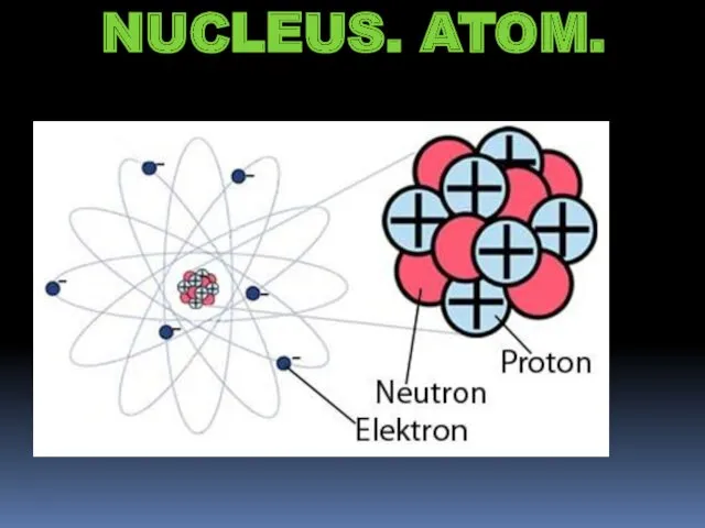 NUCLEUS. ATOM.