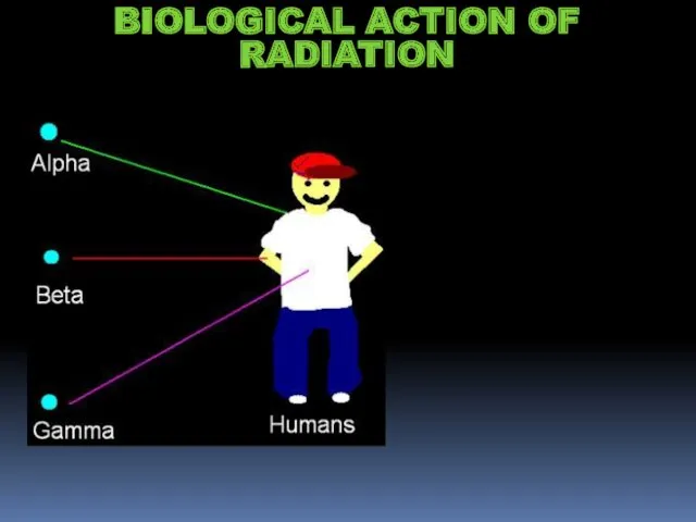 BIOLOGICAL ACTION OF RADIATION