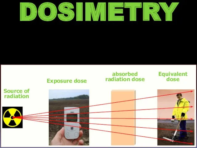 DOSIMETRY Source of radiation Exposure dose absorbed radiation dose Equivalent dose