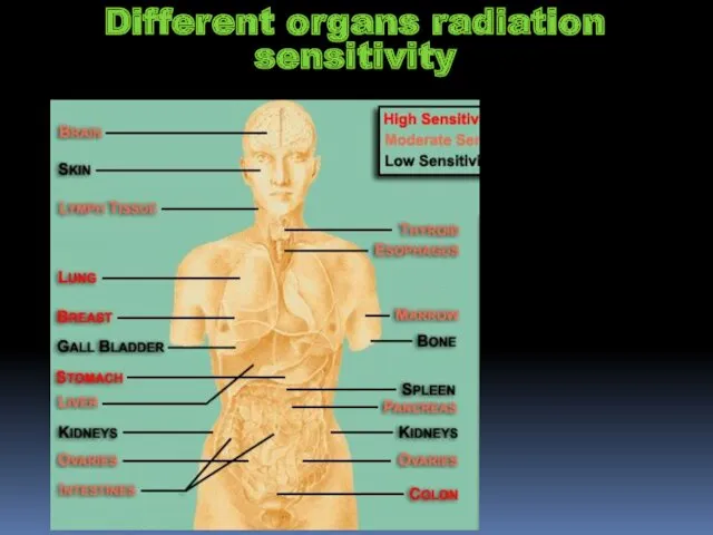 Different organs radiation sensitivity