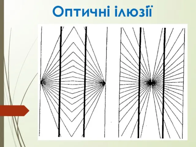 Оптичні ілюзії