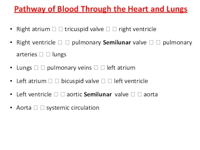Pathway of Blood Through the Heart and Lungs Right atrium