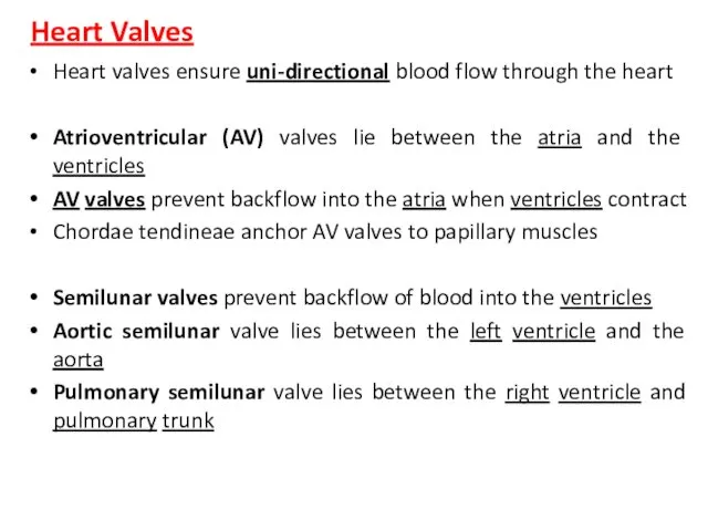 Heart Valves Heart valves ensure uni-directional blood flow through the