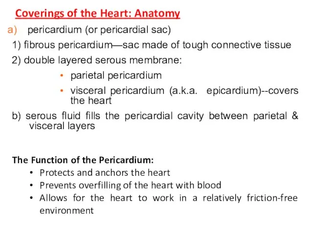 Coverings of the Heart: Anatomy The Function of the Pericardium: