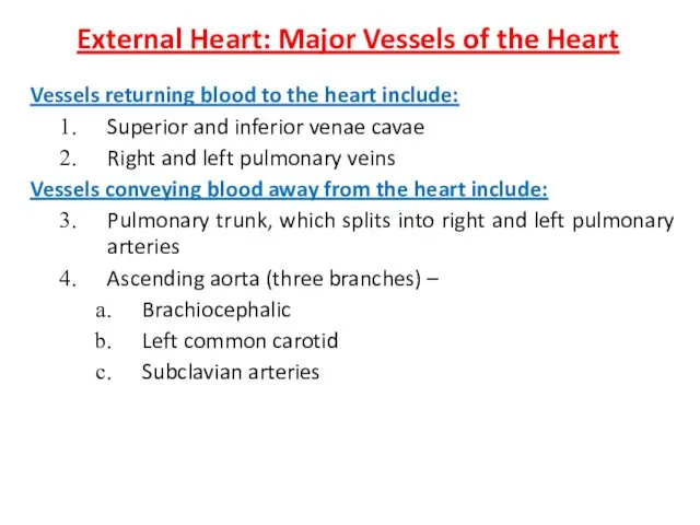 External Heart: Major Vessels of the Heart Vessels returning blood