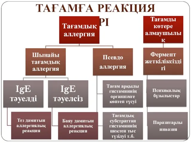 ТАҒАМҒА РЕАКЦИЯ ТҮРІ