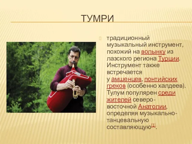 ТУМРИ традиционный музыкальный инструмент, похожий на волынку из лазского региона Турции. Инструмент также