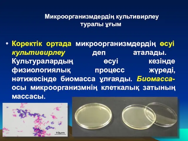 Коректік ортада микроорганизмдердің өсуі культивирлеу деп аталады. Культуралардың өсуі кезінде