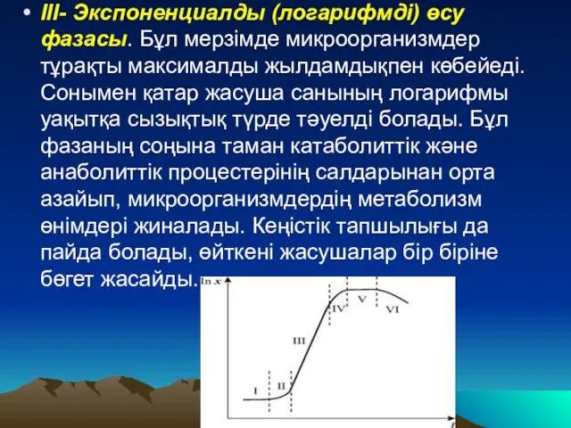 III- Экспоненциалды (логарифмді) өсу фазасы. Бұл мерзімде микроорганизмдер тұрақты максималды