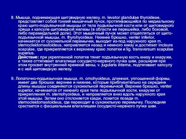 8. Мышца, поднимающая щитовидную железу, m. levator glandulae thyroideae, представляет