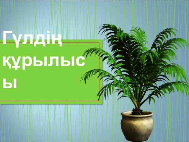 Гүлдің құрылысы