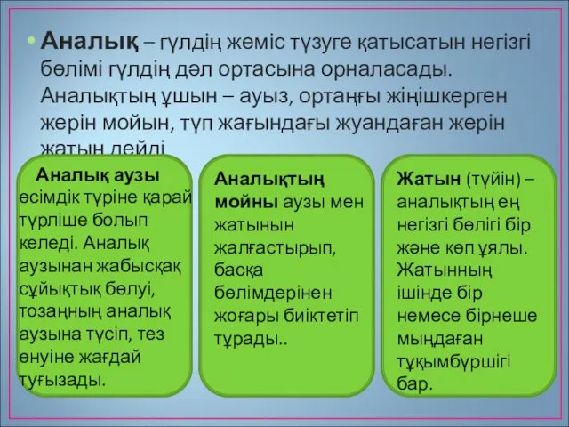 Аналық – гүлдің жеміс түзуге қатысатын негізгі бөлімі гүлдің дәл