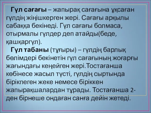 Гүл сағағы – жапырақ сағағына ұқсаған гүлдің жіңішкерген жері. Сағағы