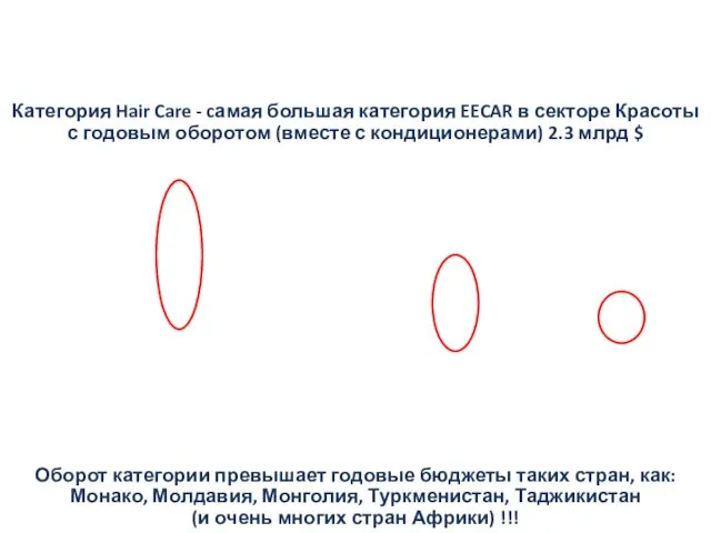 Размер категории Hair Care EECAR Категория Hair Care - cамая