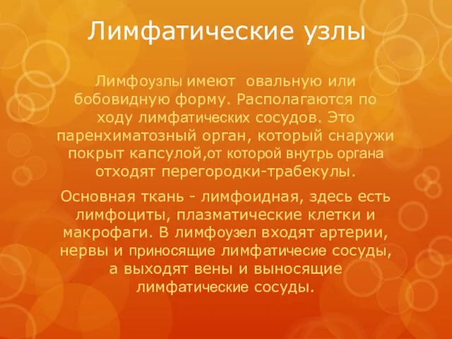 Лимфатические узлы Лимфоузлы имеют овальную или бобовидную форму. Располагаются по