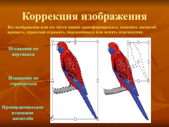 Коррекция изображения Все изображение или его части можно трансформировать: изменять