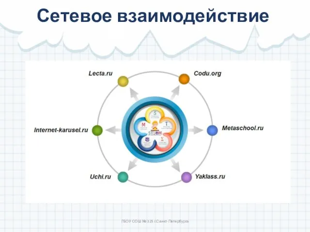 Сетевое взаимодействие ГБОУ СОШ № 325 г.Санкт-Петербурга