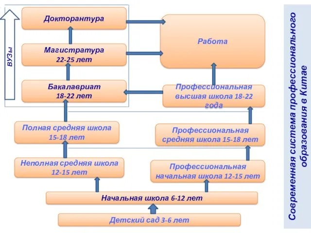 Работа Профессиональная высшая школа 18-22 года Докторантура Магистратура 22-25 лет Бакалавриат 18-22 лет