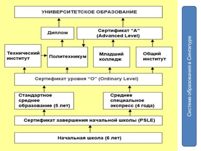 Система образования в Сингапуре