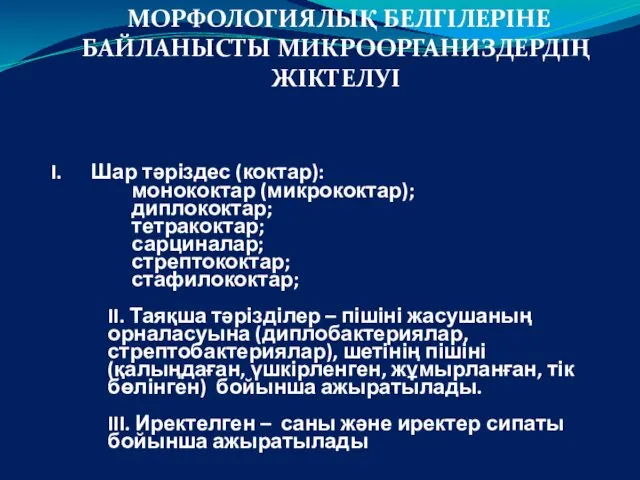 I. Шар тәріздес (коктар): монококтар (микрококтар); диплококтар; тетракоктар; сарциналар; стрептококтар;