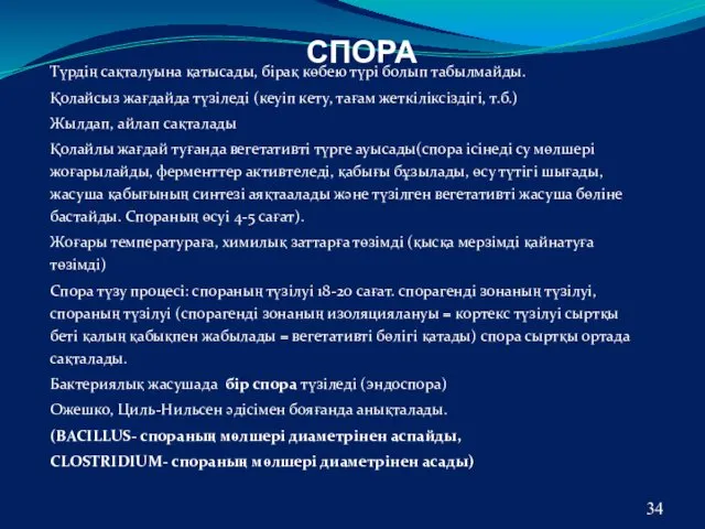 СПОРА Түрдің сақталуына қатысады, бірақ көбею түрі болып табылмайды. Қолайсыз