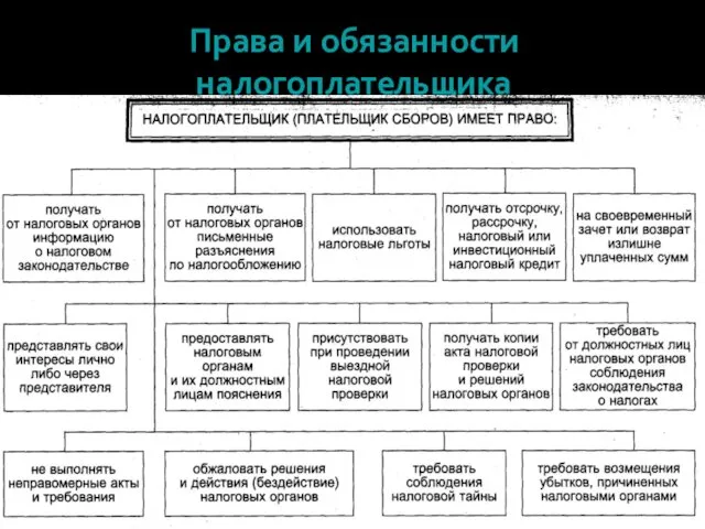 Права и обязанности налогоплательщика