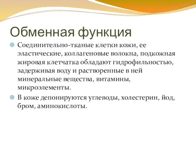 Обменная функция Соединительно-тканые клетки кожи, ее эластические, коллагеновые волокна, подкожная