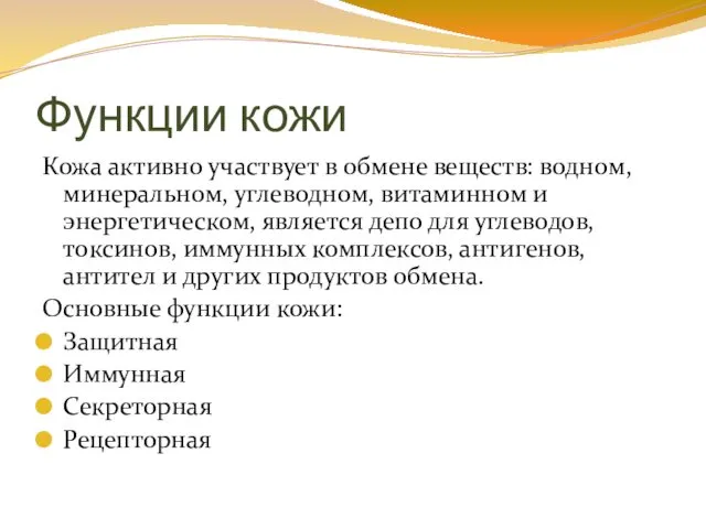 Функции кожи Кожа активно участвует в обмене веществ: водном, минеральном,