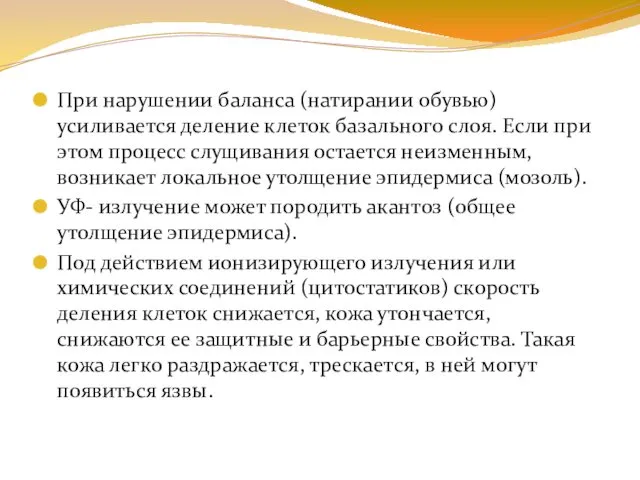 При нарушении баланса (натирании обувью) усиливается деление клеток базального слоя.