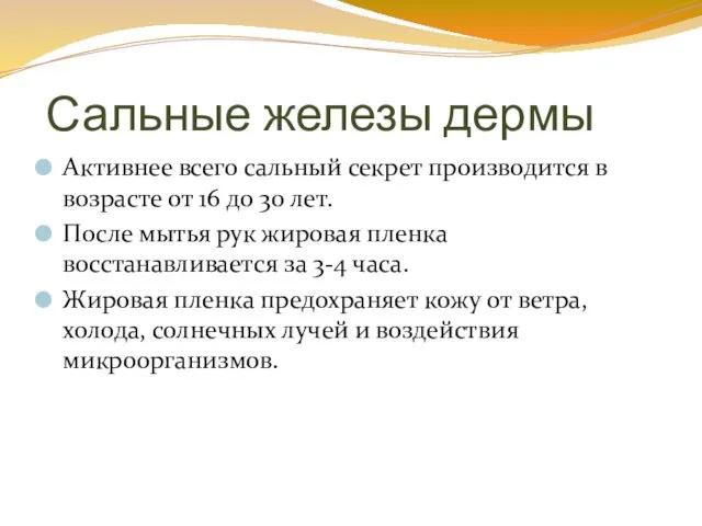 Сальные железы дермы Активнее всего сальный секрет производится в возрасте