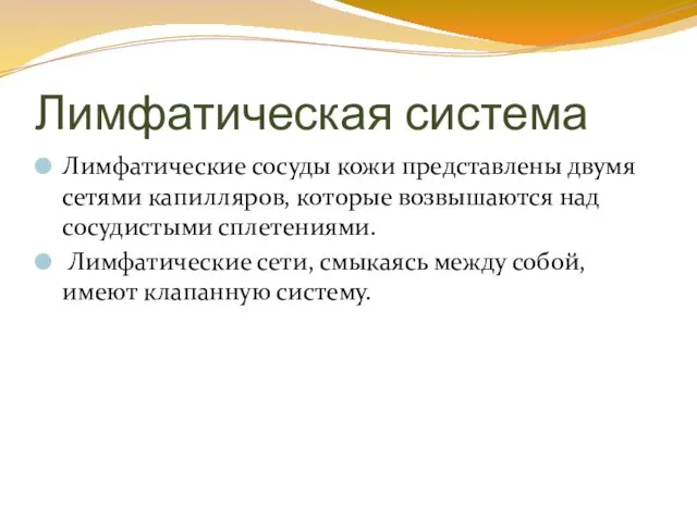 Лимфатическая система Лимфатические сосуды кожи представлены двумя сетями капилляров, которые