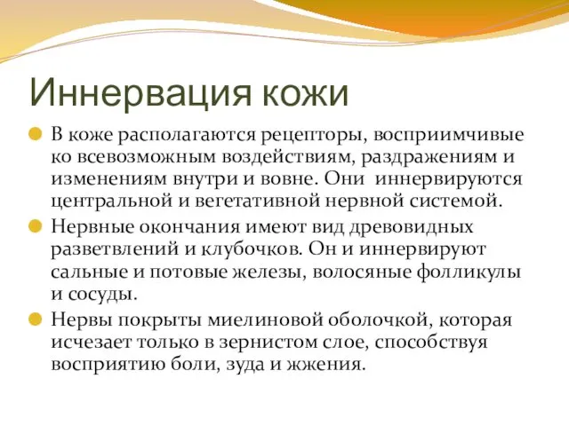 Иннервация кожи В коже располагаются рецепторы, восприимчивые ко всевозможным воздействиям,